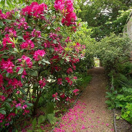 Boreham House Herstmonceux Екстериор снимка