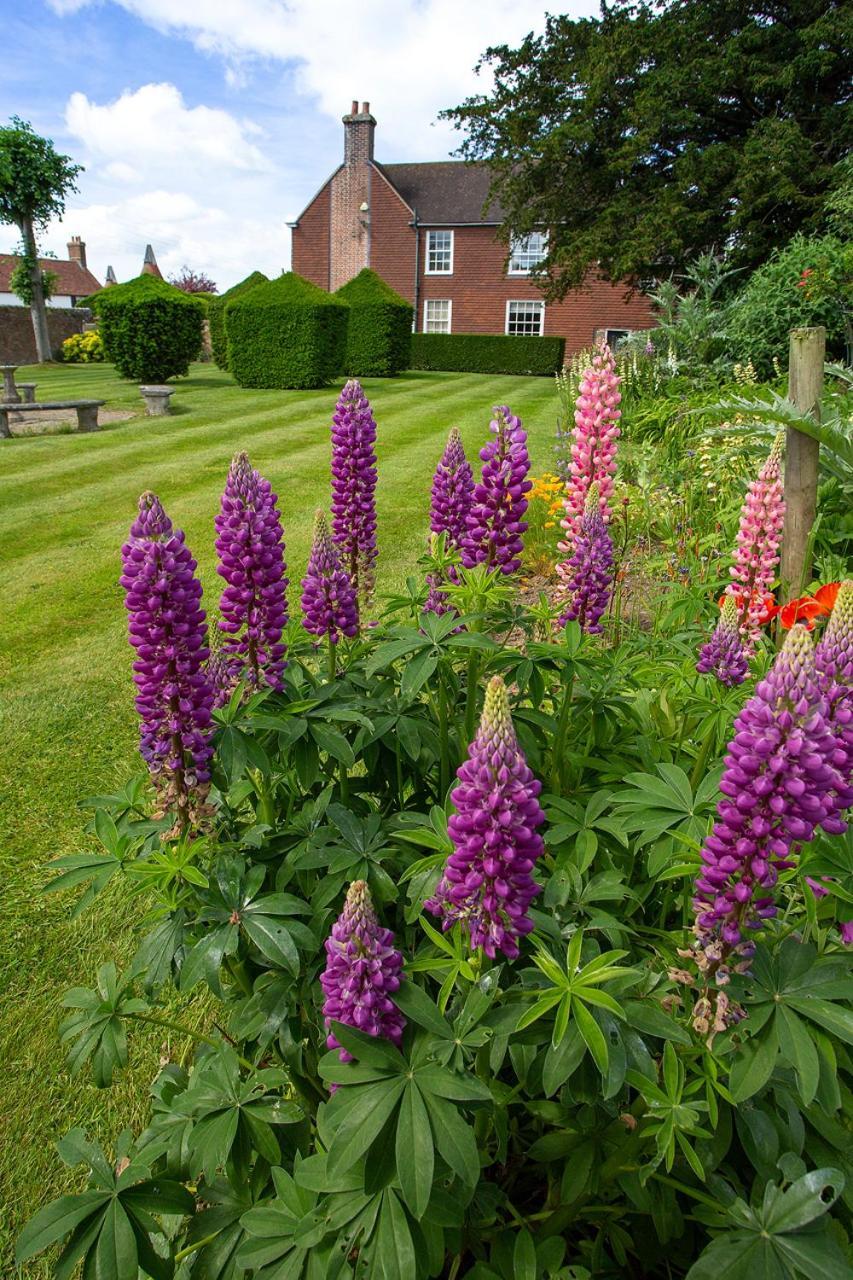 Boreham House Herstmonceux Екстериор снимка